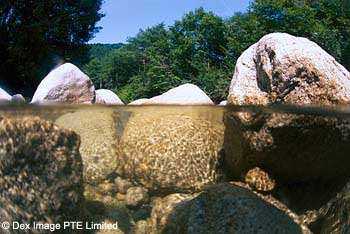 Stream