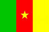 Institute for Geological and Mining Research for Cameroon 