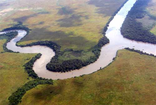 Un tributario del fiume Quelimane, nella provincia della Zambezia, in Mozambico.   © Richard Burt
