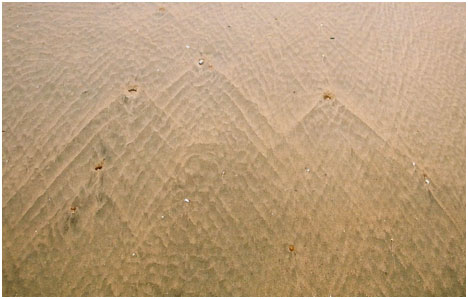 Voda mijenja smjer oko objekata kao što su oblutci i nastaju riplovi u obliku slova V. Camber Sands, Istočni Sussex, Engleska.  © Abigail Burt