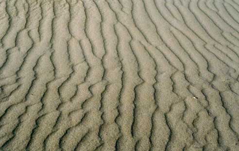 Vjetar je otpuhao pijesak u dagečke niske riplove. Jugoistočna Manitoba, Kanada. © Abigail Burt
