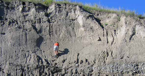 Ледниковый тилль, накопившийся сверху песка и гравия, около Barrie, Онтарио, Канада. Геолог берет пробу тилля. © OGS Queens Printer 2005