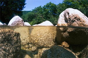 I fiumi sono uno dei modi in cui le rocce e I sedimenti vengono trasportati. 