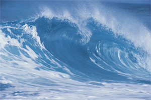 Det meste ad vandet på Jorden findes i oceanerne.