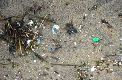 Granelli di sabbia di plastica nella spiaggia di St. Agnes, Cornovaglia, Inghilterra. © Abigail Burt